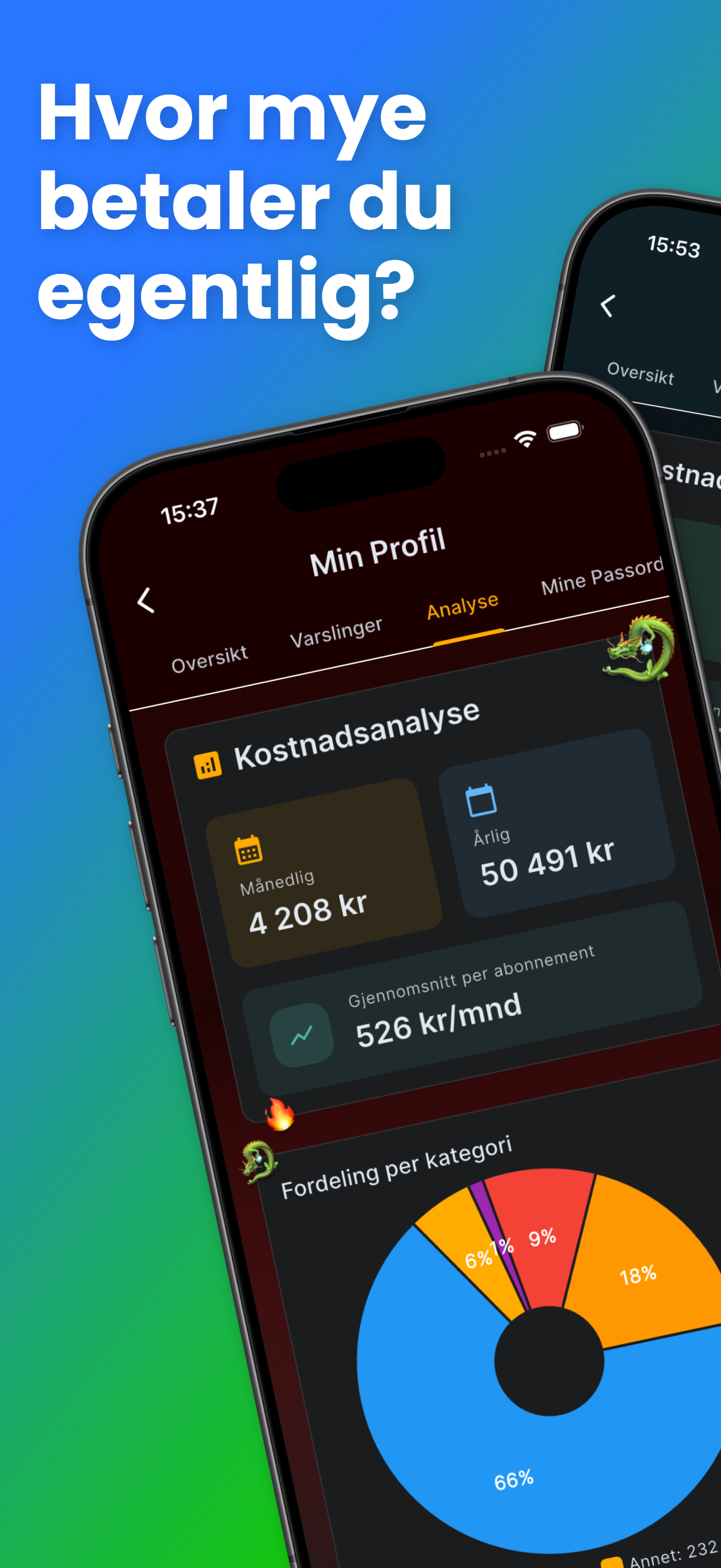 Kostnadsanalyse med månedlig og årlig sum og fordeling per kategori